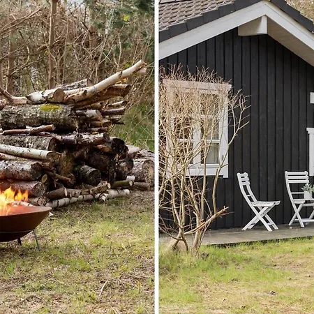 Vakantiehuis Tv1585-albaek-musvagevej-66 Ålbæk